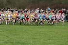 Under-13 Girls start, McCain Inter Counties Cross Country, Cofton Park, Birmingham.
